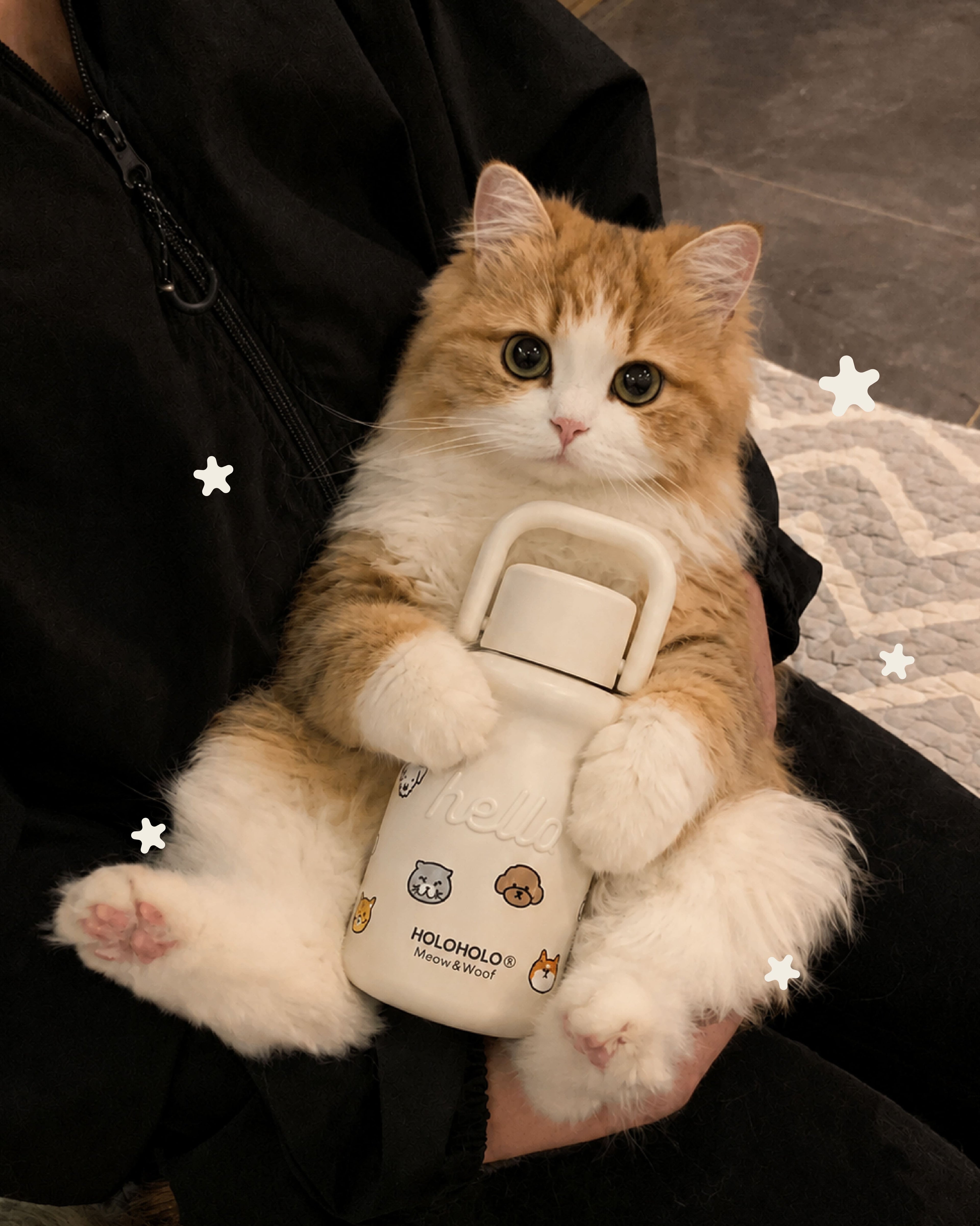 Retro Milk-Shaped Water Bottle – Meow&Woof Limited Edition